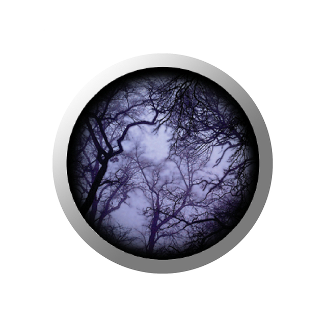 Gobos y ramas de nubes GOBO WS11 - Colifine