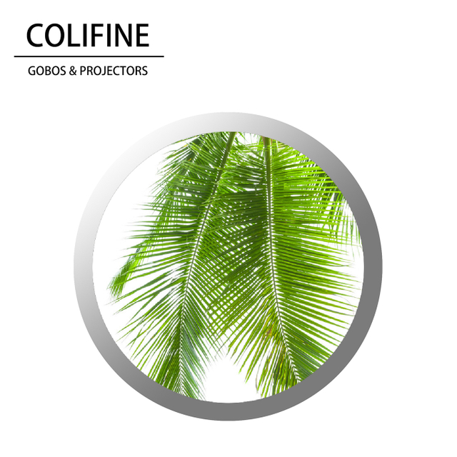 Colifine Custom GOBO GOBO GOBO LIGHT NATURY NATURO GOBO Hojas de palmera GOBO SM31