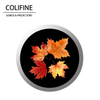 Lente de vidrio de colifine Custom Gobo Proyector Nature GOBO Hojas GOBO SM30