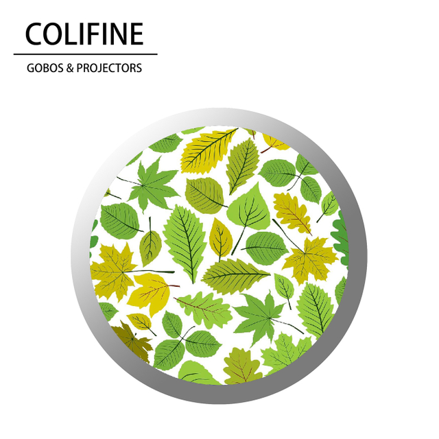 GOBO & GOBO Hojas SM42 - Colifine
