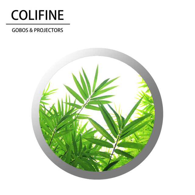 Colifine Custom GOBO Personalizado GOBO Nature GOBO Hojas GOBO SM36