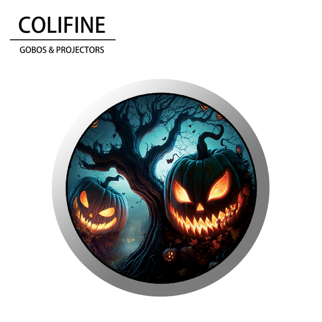 GOBO & CHUCKIE Patch Patch GOBO WS10 - Colifine