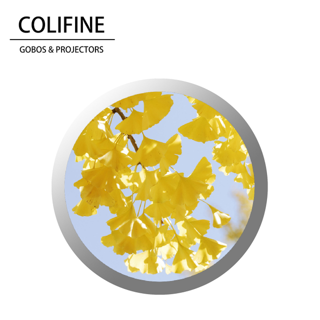 Colifine Custom Custom Gobo Logotor Projector GOBO Light Projector Nature GOBO Hojas de palmera GOBO SM32