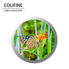 Colifine Custom Custom GOBO Proyección Logotipo Proyector GOBO Proyector Nature GoBe Bouty GOBO SM29