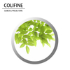 Colifine Gobos lente de anuncio al aire libre